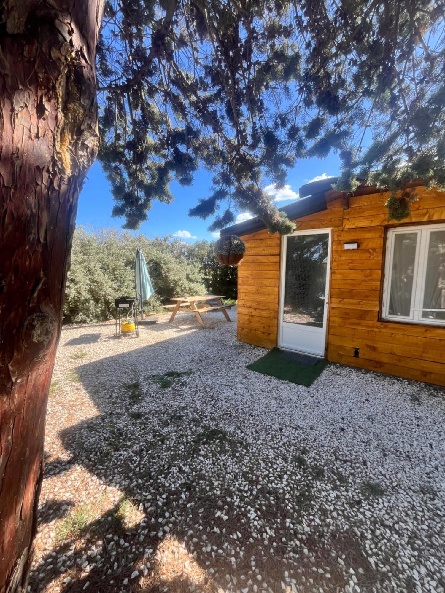 Location T3 Jardin Avec Piscine Villa Mèze Eksteriør billede
